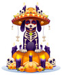 Skeleton dog and pumpkin lantern symbol holiday day of dead in mexico. Dia de Muertos mexican halloween