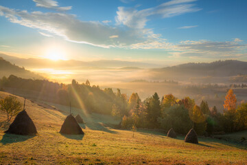 Wall Mural - Morning Mountain valley at sunrise. The sun rises and illuminates the colorful trees. Autumn. Carpathian Mountains, Ukraine, Europe