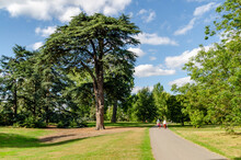 London Royal Botanic Gardens, Kew