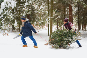 Senior man with adult son found perfect Christmas tree