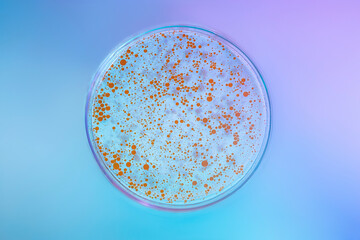 A petri dish with a texture of gel and orange oil on a gradient blue-purple background.