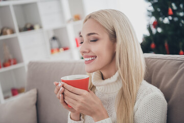 Sticker - Photo of shiny sweet young lady wear knitted pullover smiling enjoying tasty drink indoors house home room