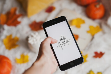 person holding  a mobile phone with autumn decor