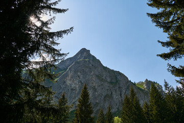 Wall Mural - Scorota sheepfold in Retezat mountain with peak forest blue sky