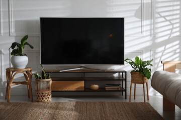 Wall Mural - Living room interior with modern TV on stand