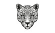 leopard logo on white background