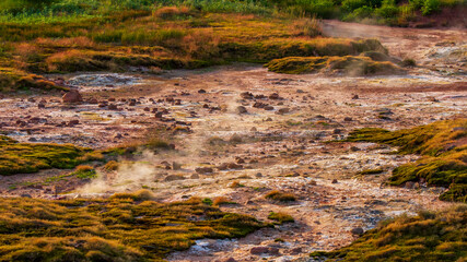 Canvas Print - Steaming, sulfuric, active fumaroles near Pauzhetskaya Geothermal Power Plant, Kamchatka Peninsula, Russia