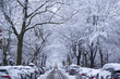Winter scene with snow covered cars parked along streets in Brooklyn, NY.