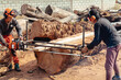 © Collab Media - Lumberjack cutting tree trunk with giant chainsaw to make wooden planks