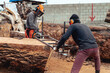 © Collab Media - Lumberjack cutting tree trunk with giant chainsaw to make wooden planks