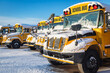 School buses covered in snow .