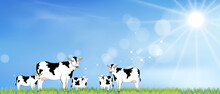 Rural Landscape Farm Fields With Family Cows Grazing Eating Grass In Sunny Day Spring, Vector Cartoon Beautiful Summer Of Green Meadow With Blue Sky And Sun Shining,Horizontal Background Banner