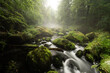 smooth motion of wild water in a river in summer with rocks and stones in the beautiful nature of a forest - triebtal