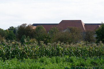 Wall Mural - barn in field