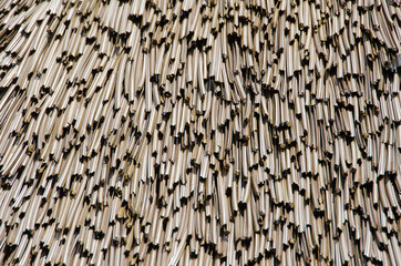 Thatch roof 2 - background