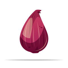 Poster - Single shallot vector isolated illustration