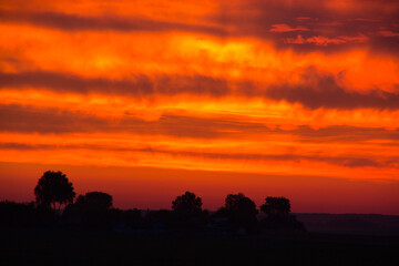 Wall Mural - stormy red sky at sunset over the forest