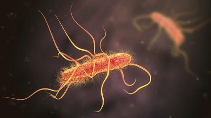 Poster - Escherichia coli bacteria, 3D illustration