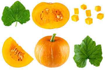 Set of pumpkins and leaves isolated on white background.