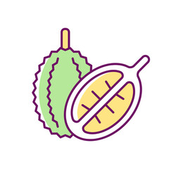 Wall Mural - Durian RGB color icon. Bittersweet fruit in Singapore. Fruit with strong fragrance. Mao Shan Wang. Rich source of nutrients. Tropical plant. Isolated vector illustration. Simple filled line drawing