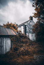 Old Wooden Barn Covered With Climbing Vines Beside A Grungy Concrete Building In Ireland