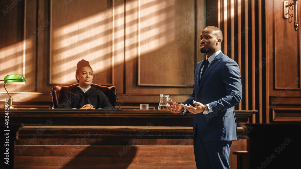 Lawyer Talking To Jury