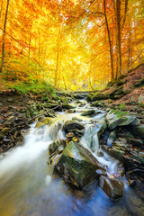 Wall Mural - autumn nature - mountain waterfall stream in the rocks with colorful fallen dry leaves, landscape