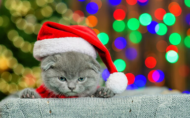 Canvas Print - Portrait of a cute kitten wearing warm sweater  and santa hat on festive background