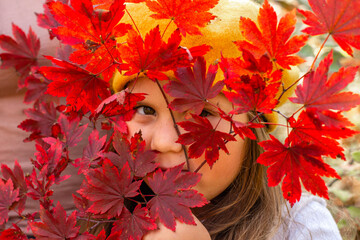 little girl behind bright maple autumn leafs