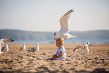 Cute Baby Child, Boy, Playing With Seagulls On The Edge Of The Ocean