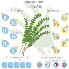 Wall Mural - Thyme nutrition facts and health benefits infographic