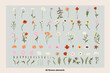 Botanical poster set flowers and branches. Modern style, pastel colors