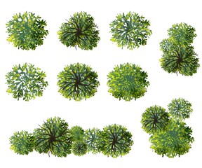 Wall Mural - watercolor green tree top view isolated on white background for landscape plan and architecture layo