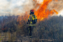 Firefighter Trying To Put Out A Forest Fire