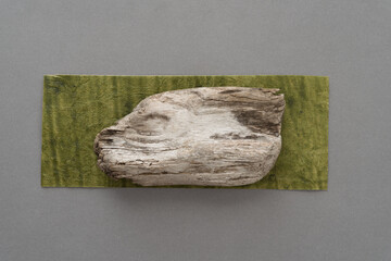 driftwood object isolated on paper