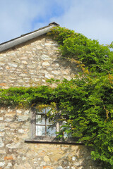 Sticker - Vertical shot of the wall of a house with a small cute window partly covered with a tree