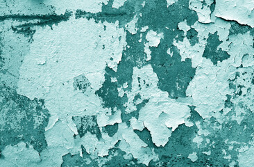 Wall Mural - Сement wall with peeling paint and plaster in cyan tone.