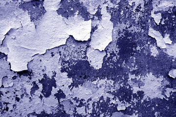 Wall Mural - Сement wall with peeling paint and plaster in blue tone.