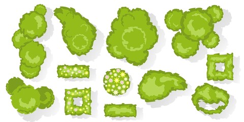 Wall Mural - trees and bushes top view for architectural and landscape design. different colored blooming plants 