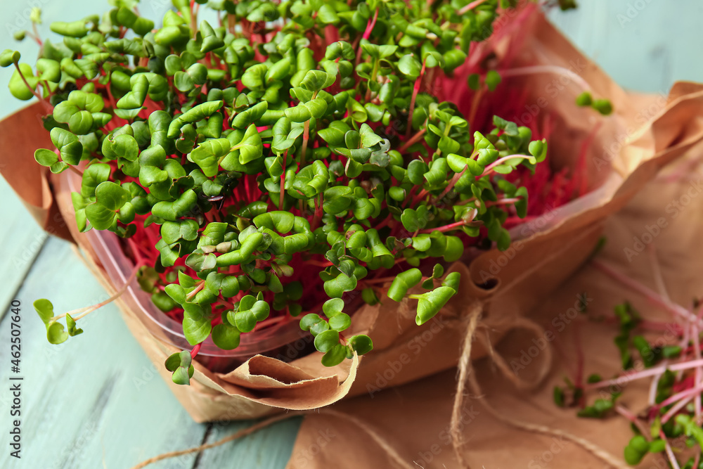 Fresh organic micro green on color wooden background, closeup