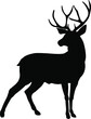 The vector silhouette of a deer. A horned beast from the forest. Elk, caribou, antelope