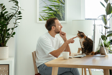 Casual freelancer man taking break from remote work or programming playing with cat sit on desk. MIllennial businessman relax from stress with fluffy pet in home office. Web designer rest at workplace