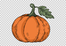 Pumpkin Hand Draw With Brush Style Isolated On Png Or Transparent Texture,Halloween Party Background ,element Template For Poster,brochures, Online Advertising,vector Illustration