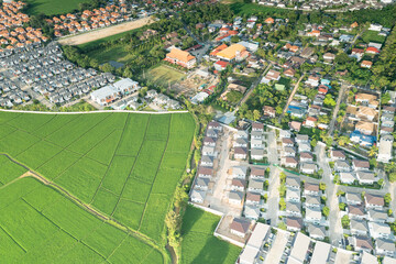 Wall Mural - Land or landscape of green field in aerial view. Include agriculture farm, house building, village. That real estate or property. Plot of land for housing subdivision, development, sale or investment.