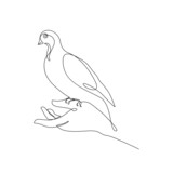 Fototapeta Koty - Bird Continuous Line Drawing. Pigeon on Hand Abstract Line Art Drawing. Cute Bird Pigeon Single Line Illustration. Vector EPS 10.