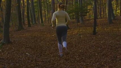 Wall Mural - SLOW MOTION: Young woman wearing a yellow sweater jogs along the forest trail on a sunny autumn evening. Cinematic shot of an unrecognizable female jogger exploring the fall colored woods at sunrise.