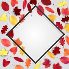 Wall Mural - Autumn banner with red and orange leaves . Free empty space for text. Advertisement promo. Realistic vector illustration.