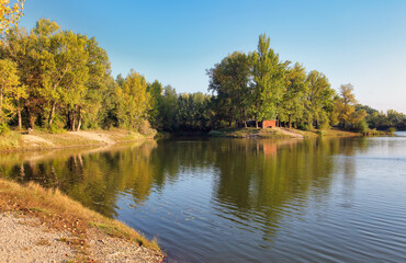 Wall Mural - Lake reflection with tree in Sered, Slovakia