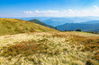 © Pellinni - grassy meadows of carpathian mountains on a sunny autumn day. beautiful landscape of polonyna krasna ridge, ukraine