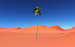 Palme in einer Sandwüste